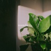 Numbers. - Single
