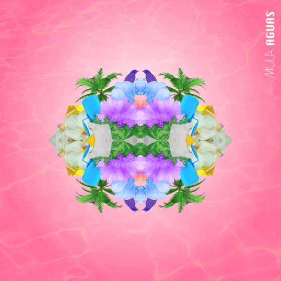 Cover artwork for Diamantes
