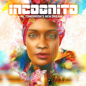 Only a Matter of Time (feat. Cherri V) - Incognito