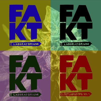 LostLabiLoops, Vol. 1