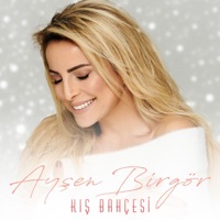 Kış Bahçesi - Single - Ayşen Birgör
