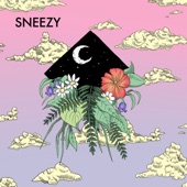 Sneezy - Abacus