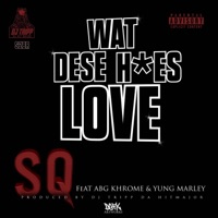 Wat Dese Hoes Love (feat. ABG Khrome & Yung Marley) - Single - SQ Tha Barefaced Robber