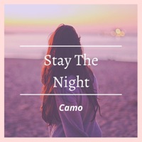 Stay the Night - Single - Camo