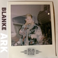 BLANKE ARK (NYTTÅR) (feat. Nissefar) - Single - R2-LSD2