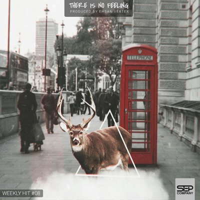 There Is No Feeling - Single