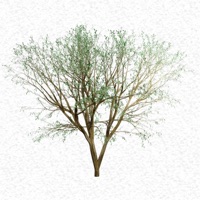 Keep on Making Changes - Single - Super Tight Woody