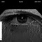 Altered State (Extended Mix) - grum lyrics