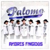 Amores Fingidos - Single