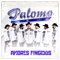 Amores Fingidos - Single - Palomo