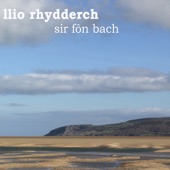 Llio Rhydderch - Beth Yw'r Haf i Mi (Y Llawenydd a Fu)