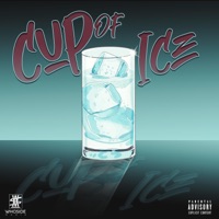 Cup of Ice - Single - Bing Nation