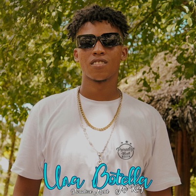 Una Botella - Single