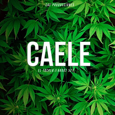 Caele (feat. El Tocker) - Single