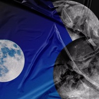 Toute La Night - Single - Henny Vs