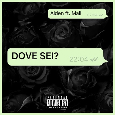 Dove Sei? (feat. Mali) - Single
