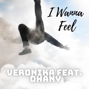 I Wanna Feel (feat. Dhany) - Single