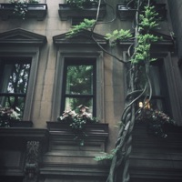 Morning Bird (Instrumental) - Single - A.O.