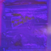 Ziplock - Single - Hudson