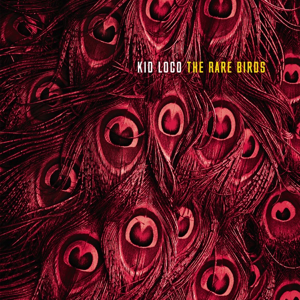 The Rare Birds