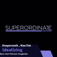 Idealizing, Pt. 2 - Single - Nae:Tek & Deeperwalk