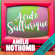 Amélie Nothomb - Acide sulfurique