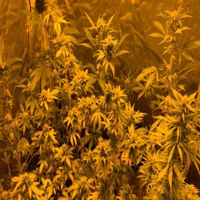 MISTERIO (feat. Dozza & Bcio) - Single