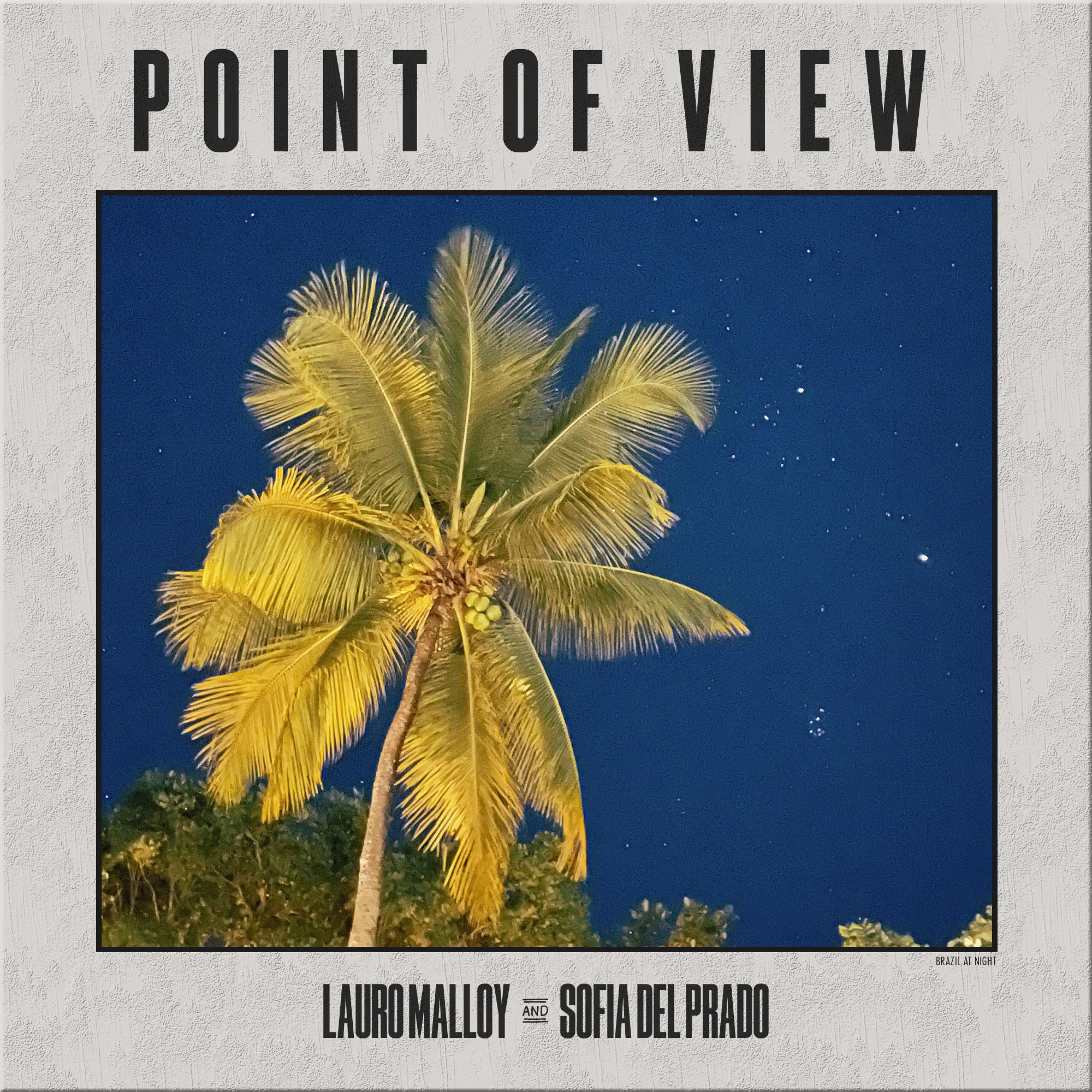 Point of View (P.O.V) (feat. Sofia del Prado) - Single