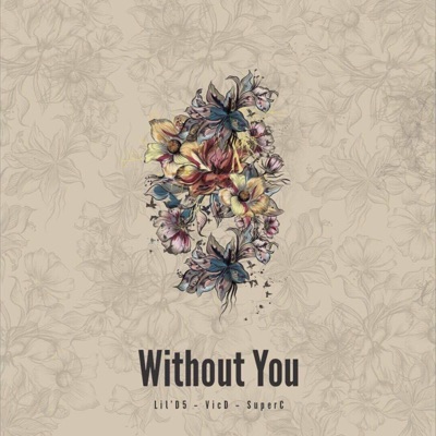Without You (feat. Lil' D5 & Vicd) - Single