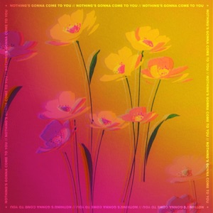 Nothing's Gonna Come to You - Single