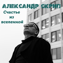 Счастье из вселенной Александр Скрип