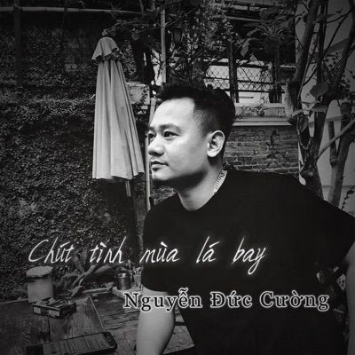 CHÚT TÌNH MÙA LÁ BAY - Single