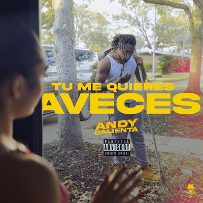 Tu Me Quieres Aveces - Single