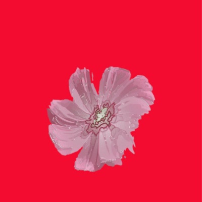 Skin (Made Pure) - Single