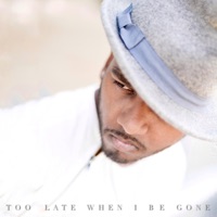 Too Late When I Be Gone - Single - Woren Webbe