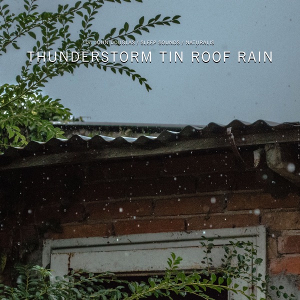 Thunderstorm Tin Roof Rain - Single