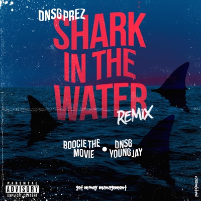 Shark in the Water (feat. BoocieTheMovie & Dnsg Young Jay) [Remix] - Single