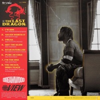 The Last Dragon - Dr. View