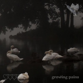 Magictrick andre moire