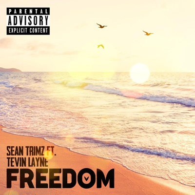 Freedom (feat. Tevin Layne) - Single