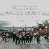 Todo lo Haces Nuevo artwork