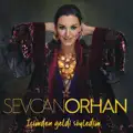 Canin Olayim
