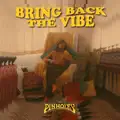 BRING BACK THE VIBE 
