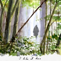 I Like it Here (feat. Justin Stanton & Célestine Muster) - Single - Anatole Muster