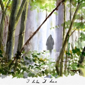 I Like it Here (feat. Justin Stanton & Célestine Muster) - Single