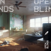 Open Blinds - Single - DROELOE