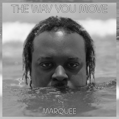 The Way You Move (feat. Heavy-Set Sexy) - Single