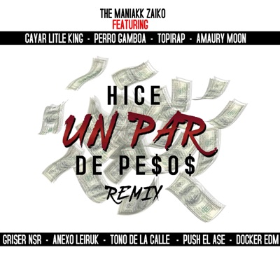 Hice Un Par de Pesos (feat. Griser Nsr, Cayar Little King, Anexo Leiruk, Push el Asesino, Docker EDM, Tono de la Calle, Amaury Moon, Topirap & Perro Gamboa) - Single