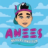Neverland Fly - Single - Anees