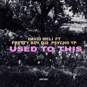 Used to This (feat. PsychoYP & prettyboydo)